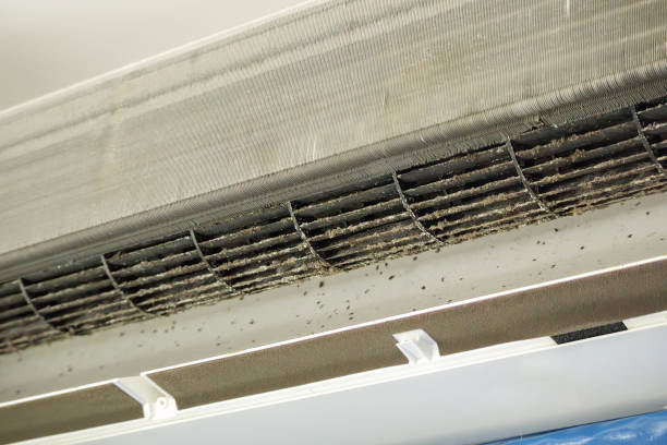 Best Ventilation Cleaning Services  in Denver, NC